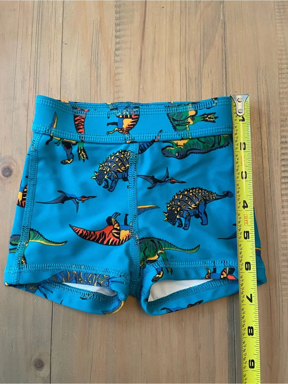 Hanna Andersson Baby 0-3 Months Dinosaur Turquoise Swim Shorts Bathing Suit